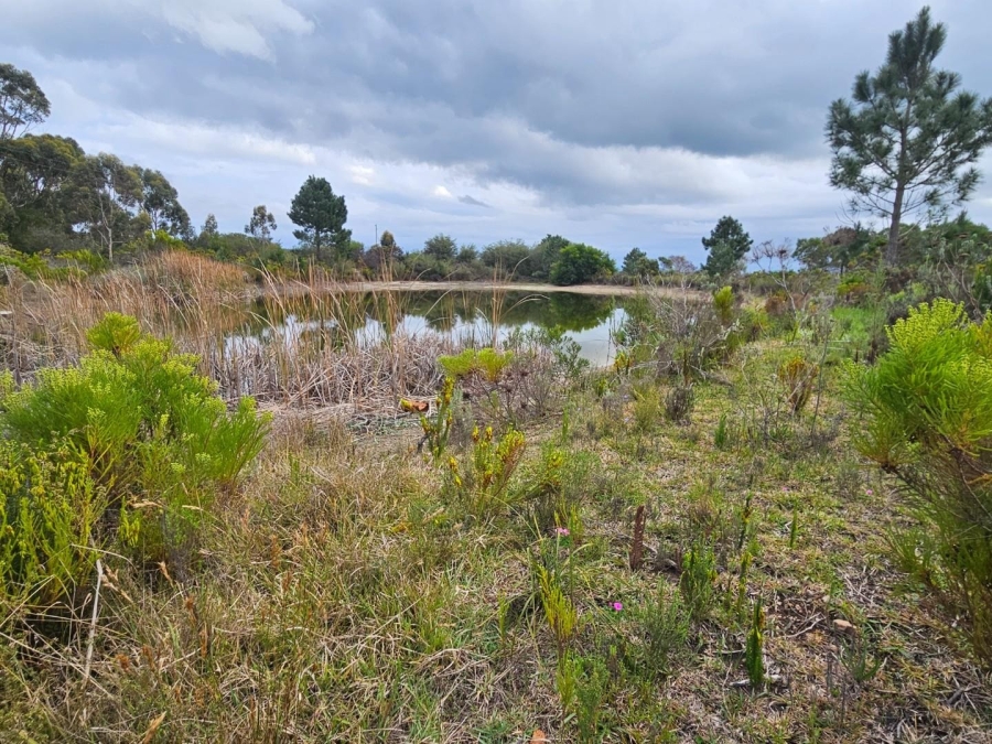 2 Bedroom Property for Sale in Baardskeerdersbos Western Cape